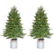 Fraser Hill Farm - 3.5-Ft. Porch Accent Tree in Rustic Farmhouse Style Metal Jug, Set of 2 with Warm White LED Lighting