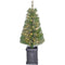 Fraser Hill Farm - 4-Ft. Porch Accent Tree in Black Pot with Warm White LED Lighting