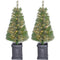Fraser Hill Farm - 4-Ft. Set of 2 Porch Accent Tree in Black Pot with Warm White LED Lighting