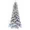 Fraser Hill Farm - 6.5-Ft. Slim White Tail Pine Snow-Flocked Christmas Tree with Colorful G40 Bulbs