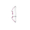 Genesis Archery : Youth Genesis Mini Righthand Bow Pink