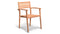 Harmonia Living Outdoor Furniture Harmonia Living - Sylvan Teak Dining Arm Chair | HL-SYLV-TK-DAC