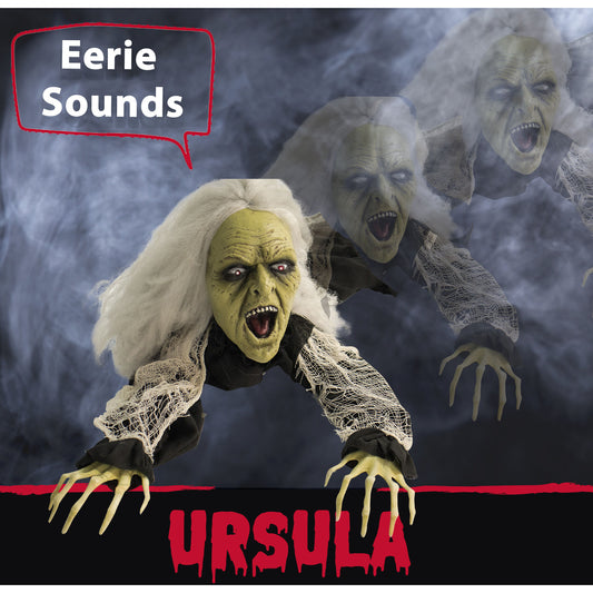 Haunted Hill Farm - 63 In. Animatronic Witch, Indoor/Outdoor Halloween Decoration, Flashing Red Eyes, Crawling