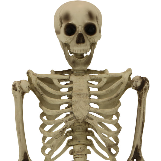 Haunted Hill Farm - Igor the 5-ft. Poseable Skeleton, Indoor/Covered Outdoor Halloween Decoration