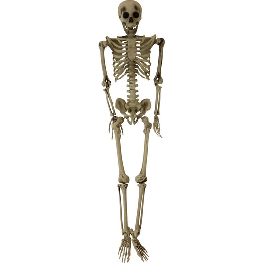 Haunted Hill Farm - Igor the 5-ft. Poseable Skeleton, Indoor/Covered Outdoor Halloween Decoration