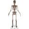 Haunted Hill Farm - 8-Ft. Tall Motion-Activated Towering Skeleton by SVI, Premium Talking Halloween Animatronic, Plug-In