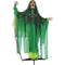 Haunted Hill Farm - Animatronic Shaking, Talking Voodoo Swamp Witch with Shrunken Skull Staff for Scary Halloween Decoration