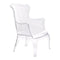 HomeRoots Outdoors Outdoor Chairs Transparent / Polycarbonate 28.3" X 30.5" X 38" Transparent Polycarbonate Chair