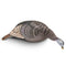 Hunters Specialties Hunting : Accessories Hunters Specialties Strut Lite Feeder Hen Decoy