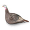 Hunters Specialties Hunting : Accessories Hunters Specialties Strut Lite Hen Decoy