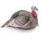 Hunters Specialties Hunting : Accessories Hunters Specialties Strut Lite Jake Decoy