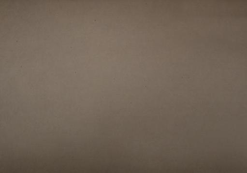 Napoleon Hearth Decorative Brick Panels Smooth | NZ5SBK