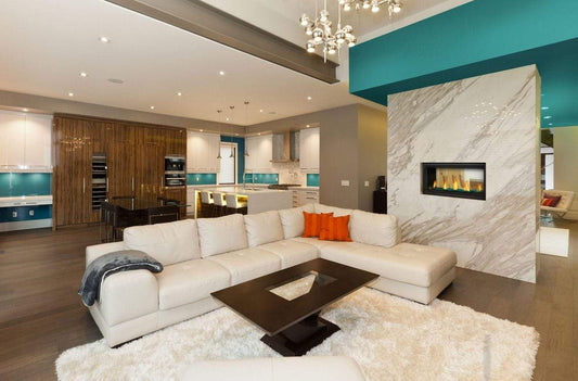 Napoleon Hearth Napoleon Vector 38" See-Thru Direct Vent Gas Fireplace LV38N2-1