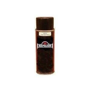 Napoleon Hearth Wrought Iron Paint 13oz | W470-0017A