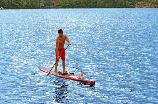 RAVE Paddle Board Signature Performance Stand Up Paddle Board (SUP)