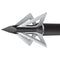 Slick Trick Archery : Broadheads Slick Trick Broadhead-1-1 8 Magnum-3pk-125 grn Stainless Stl