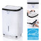 Honeywell Energy Star 50-Pint Dehumidifier with Washable Filter