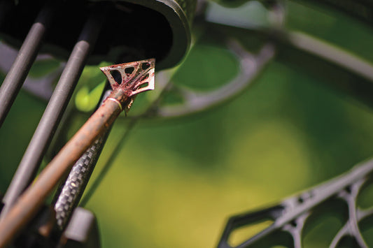 Experience the Thrill of Bowhunting with G5 Outdoors: A Spotlight on American Craftsmanship and Quality