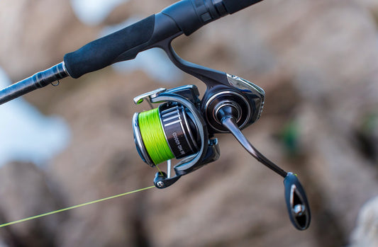 Navigating Innovation: The DAIWA D_VEC Brand Mark and Why Recreation Outfitters is Your Gateway to Fishing Excitement