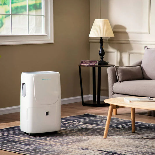 MEACO's Emerson Quiet Kool 50-Pint Dehumidifier: Elevate Your Home Comfort with Recreation Outfitters