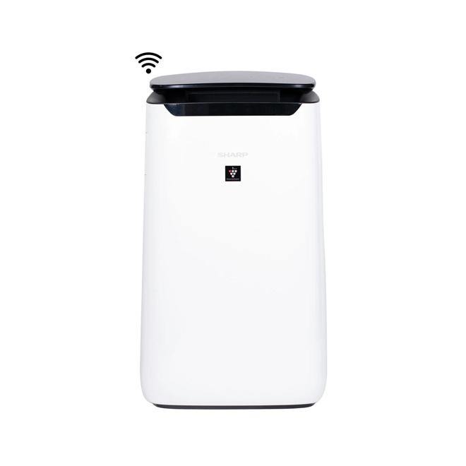 Air Purifiers - Recreation Outfitters