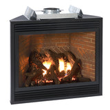 White Mountain Hearth by Empire - MV, Blower, Light, Propane-DVX42FP31LP