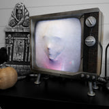 Haunted Hill Farm - Haunted TV by Tekky, Premium Halloween Animatronic - Multi