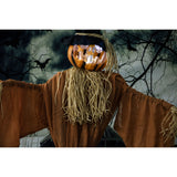 Haunted Hill Farm - Life-Size Animatronic Pumpkin Scarecrow with Lights and Sound, Indoor or Covered Outdoor Halloween Decoration - Orange