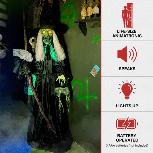 Haunted Hill Farm - Lifesize Witch Prop with Lights and Sound, Indoor/Covered Outdoor Halloween Decoration - Multi