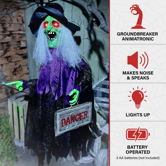 Haunted Hill Farm - Animatronic Witch Groundbreaker with Lights and Sound, Indoor/Covered Outdoor Halloween Decoration - Multi