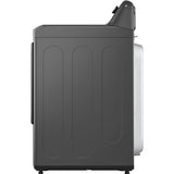 LG - 7.3 CF Electric Dryer, Sensor Dry, NeverRust Stainless Steel Drum - DLE6100M