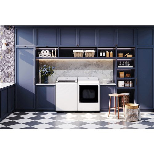 LG - 4.8 CF Top Load Agitator Washer, TurboWash3D, Wi-Fi, Easy Unload - WT8205CW