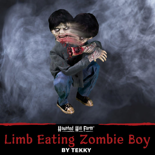 Haunted Hill Farm -  Crouching Limb Eater Zombie Boy by Tekky, Indoor or Covered Outdoor Premium Halloween Animatronic, Plug-In or Battery