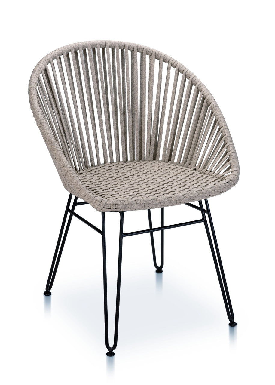 CO2 Design - Brooklyn Dining Arm Chair | Light Taupe with Cedar Cushion | Set of 2 | [BK15-2]