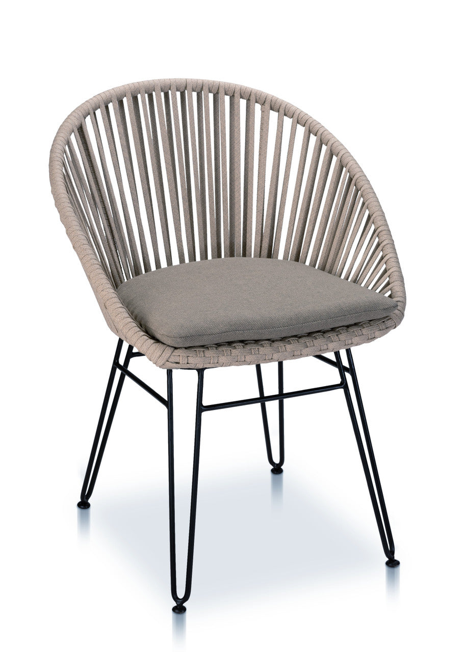 CO2 Design - Brooklyn Dining Arm Chair | Light Taupe with Cedar Cushion | Set of 2 | [BK15-2]