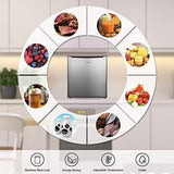 Amana Compact Amana - 2.7 CF Compact Refrigerator, Freezer Section
