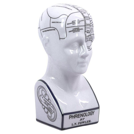 Authentic Models Americas Office Furniture Authentic Models Americas Phrenology Head Small