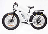 Bakcou E-Bikes Gloss White / 19.2ah (+399) Bakcou - Flatlander E-Bikes