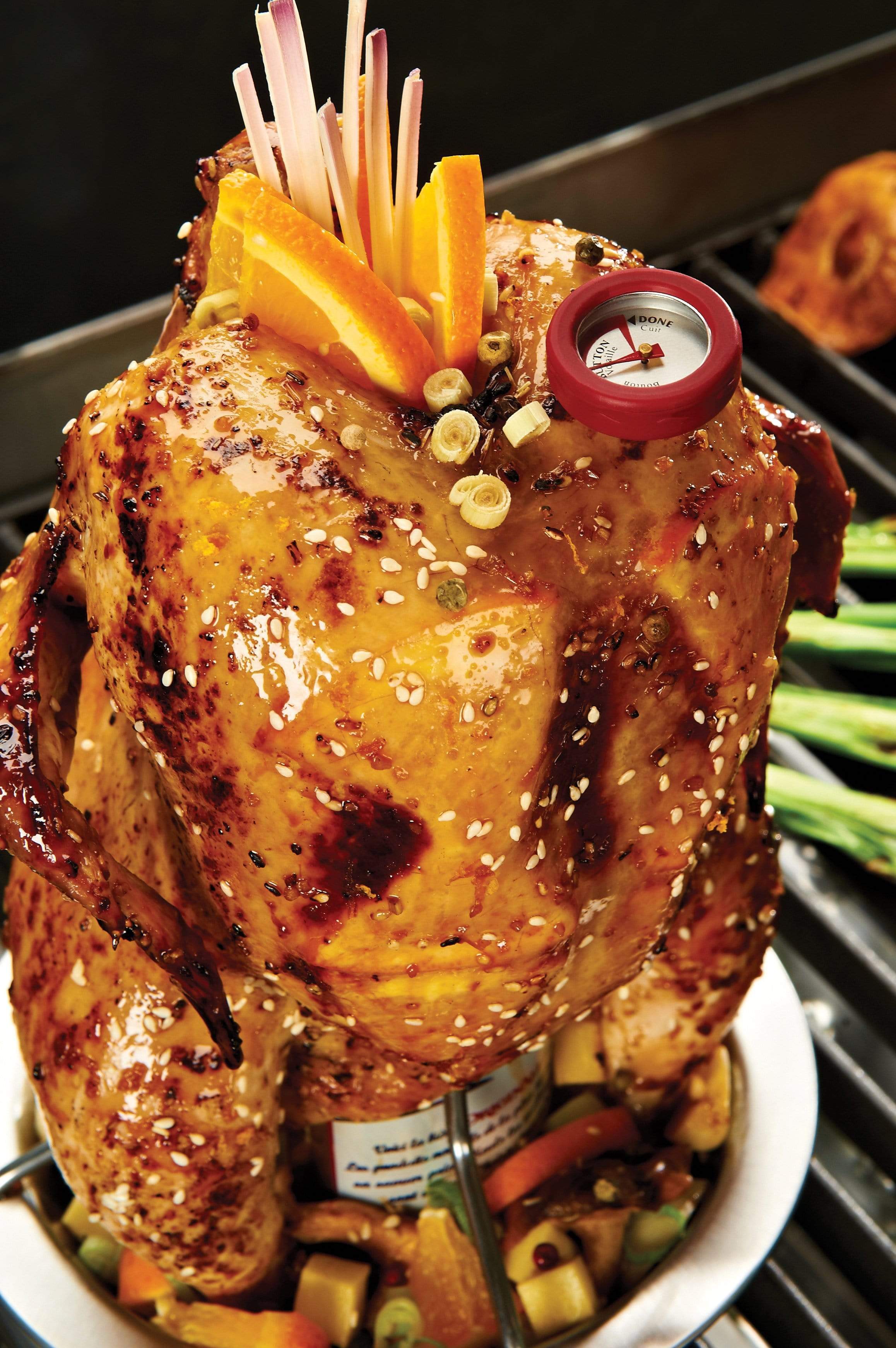 Broil King Broil King Accessories ROASTER - CHICKEN - SS