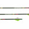 Carbon Express Archery : Arrows Carbon Express Maxima XRZ 250 6PK Arrows