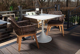 CO9 Design Outdoor Dining Chairs Sierra Dining Chair w/ Chestnut Cushion - Set of 2