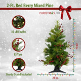 Christmas Time -  Set of Two 2-Ft. Red Berry Mixed Pine Artificial Trees with Battery-Operated LED String Lights