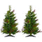 Christmas Time -  Set of Two 2-Ft. Red Berry Mixed Pine Artificial Trees with Battery-Operated Multi-Colored LED String Lights