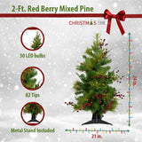 Christmas Time -  Set of Two 2-Ft. Red Berry Mixed Pine Artificial Trees with Battery-Operated Multi-Colored LED String Lights