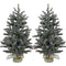 Christmas Time -  Set of Two 2-Ft. Yardville Pine Artificial Porch Trees with Burlap Bases and Battery-Operated Multi-Colored LED String Lights