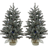 Christmas Time -  Set of Two 2-Ft. Yardville Pine Artificial Porch Trees with Burlap Bases and Battery-Operated Multi-Colored LED String Lights
