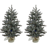 Christmas Time -  Set of Two 4-Ft. Yardville Pine Artificial Trees with Burlap Bases and Multi-Colored LED String Lights
