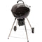 Cuisinart Charcoal Grill Cuisinart 18-In. Kettle Charcoal Grill