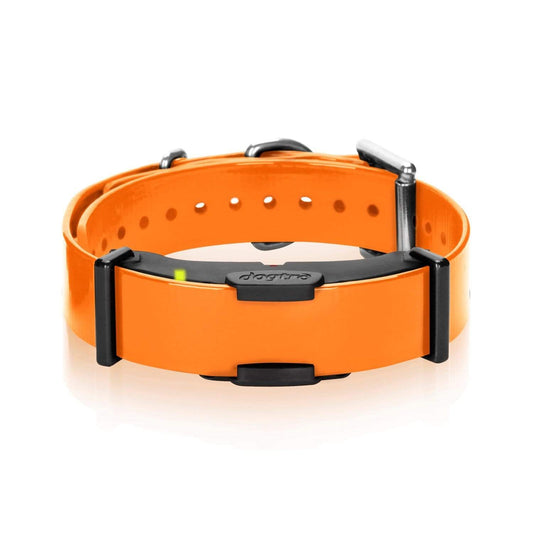 Dogtra Gifts & Novelty : Pets Dogtra ARC Additional Receiver Collar Orange