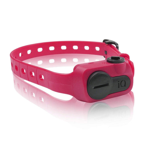 Dogtra Gifts & Novelty : Pets Dogtra iQ Pet No Bark Collar Pink